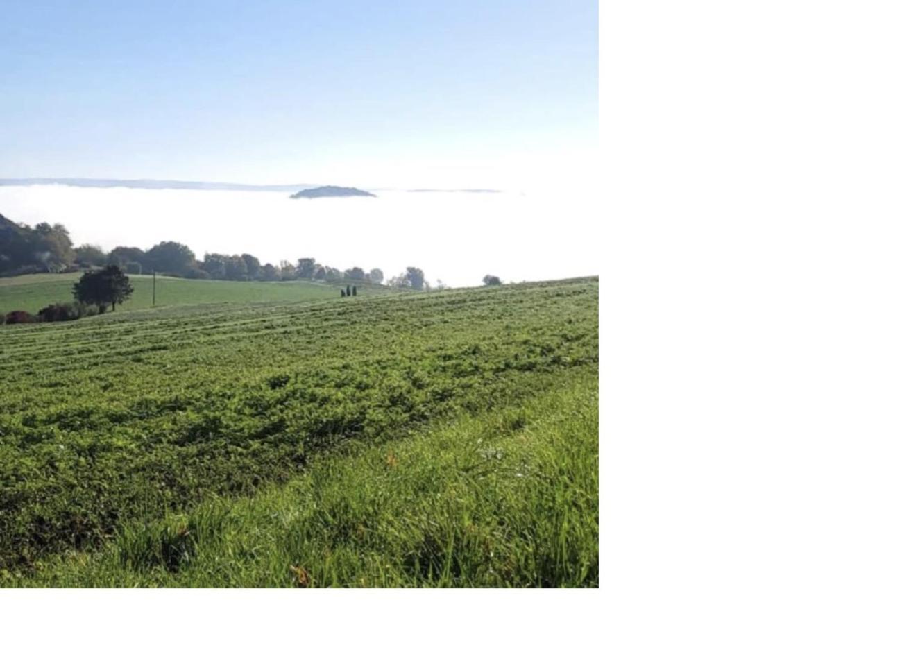 Natur Pur Frielendorf Exterior foto